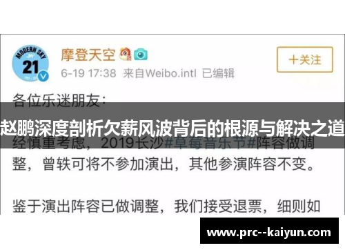 赵鹏深度剖析欠薪风波背后的根源与解决之道