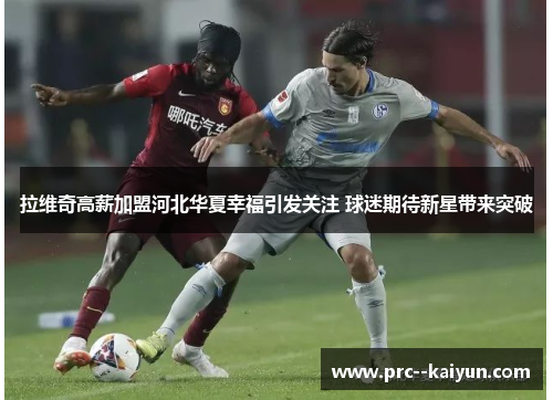 拉维奇高薪加盟河北华夏幸福引发关注 球迷期待新星带来突破