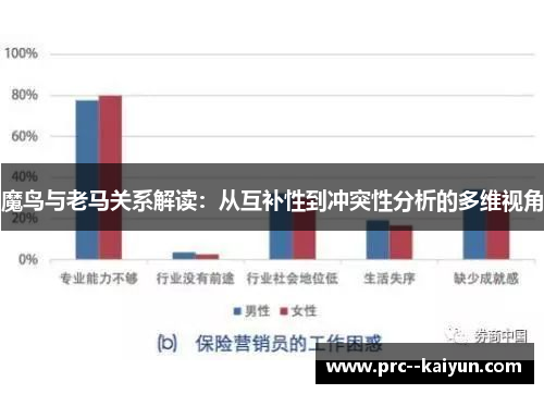 魔鸟与老马关系解读：从互补性到冲突性分析的多维视角